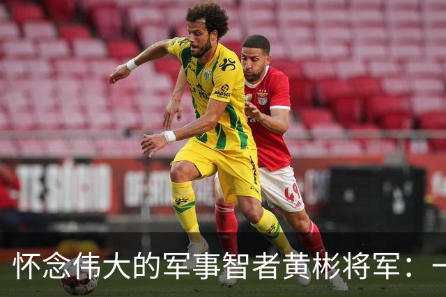 怀念伟大的军事智者黄彬将军：一位不朽的传奇