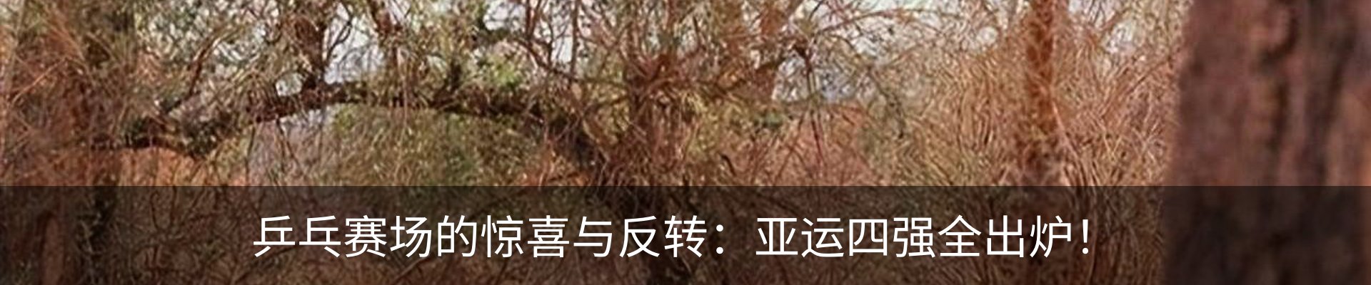 新闻中心